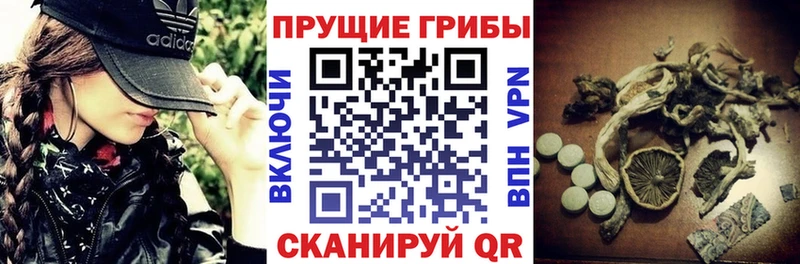 Галлюциногенные грибы MAGIC MUSHROOMS Назарово