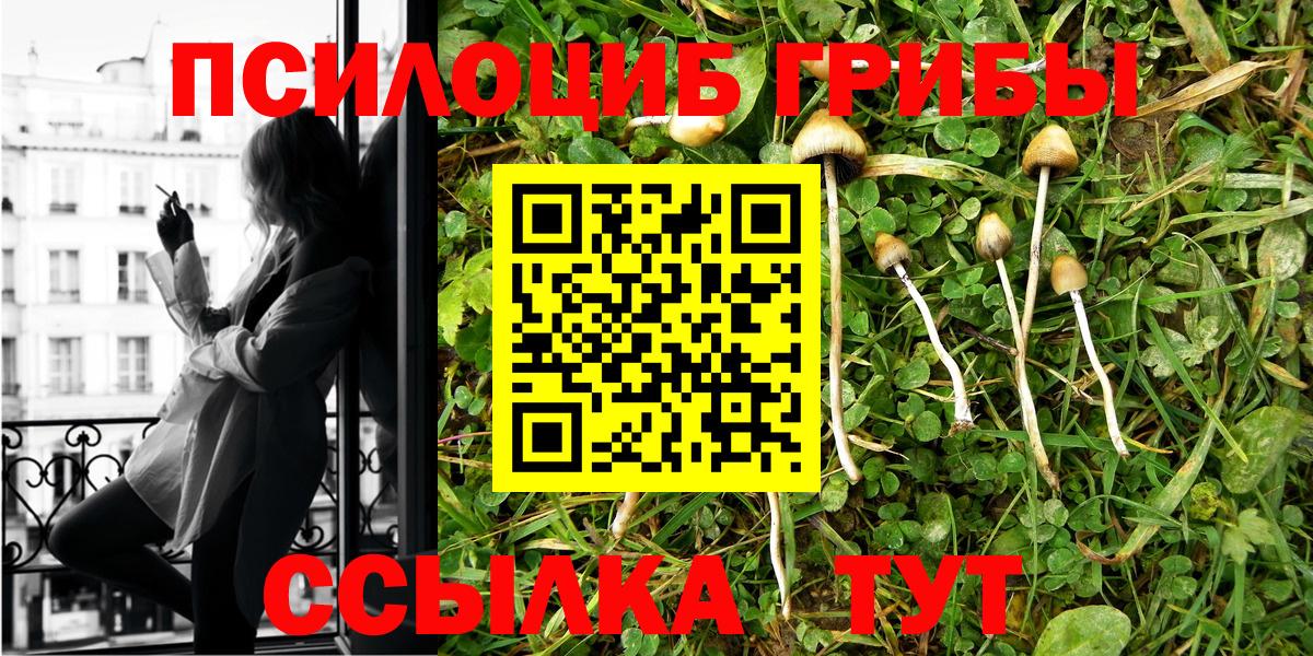 Галлюциногенные грибы прущие грибы Назарово