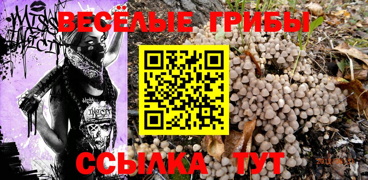 Назарово  Галлюциногенные грибы Magic Shrooms  Вход с VPN  Галлюциногенные грибы Magic Shrooms 